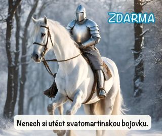 Svatomartinská bojovka s dobrým skutkem pro odběratele newsletteru zdarma. Připravila jsem bojovku, která vás provede...